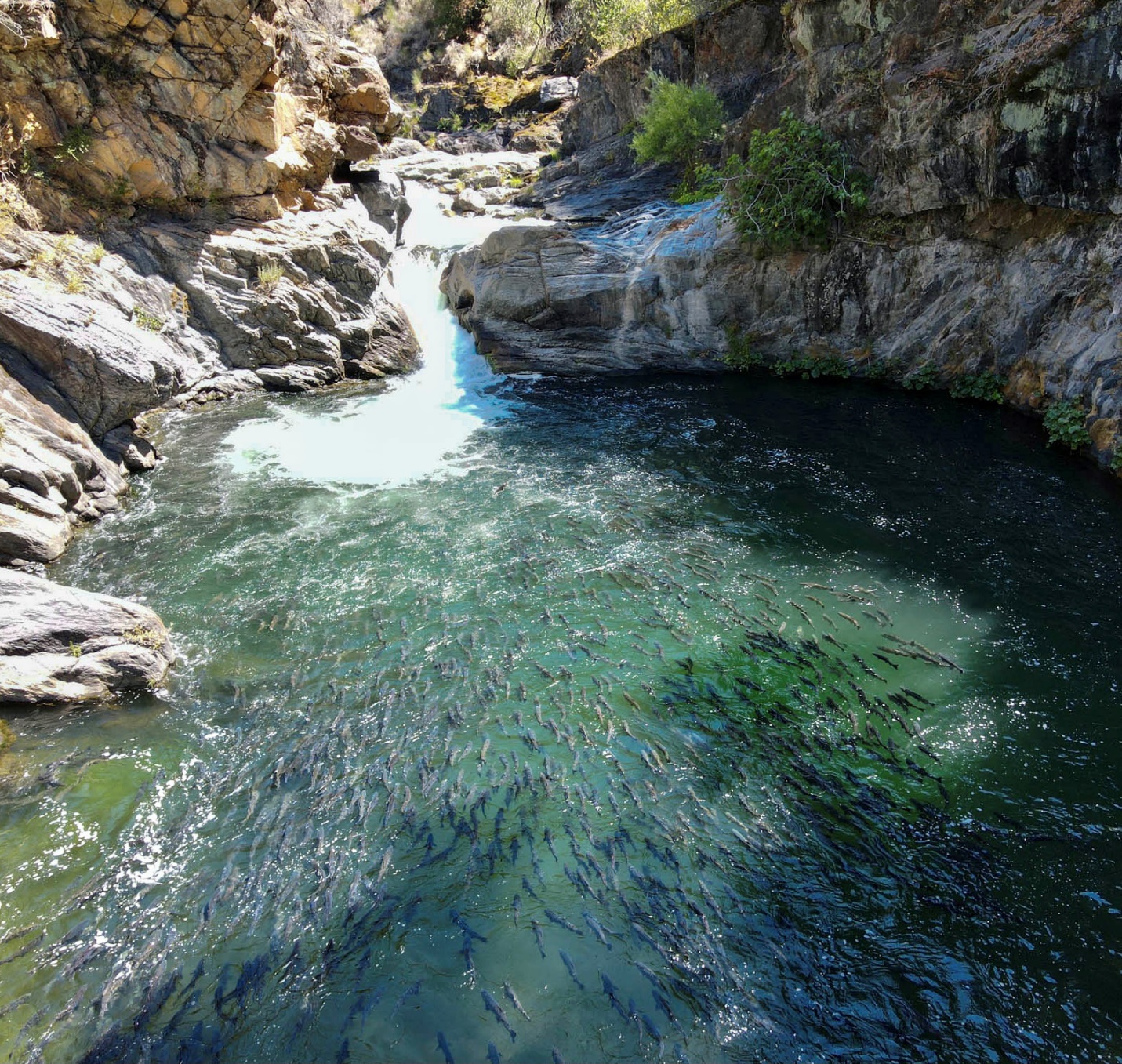 Figure 4. Quartz Bowl Pool, August 2021. Photo by John Sherman.