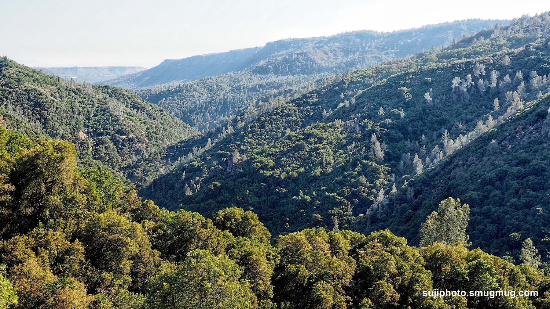 Butte Creek Floodplain Restoration Site Friends of Butte Creek